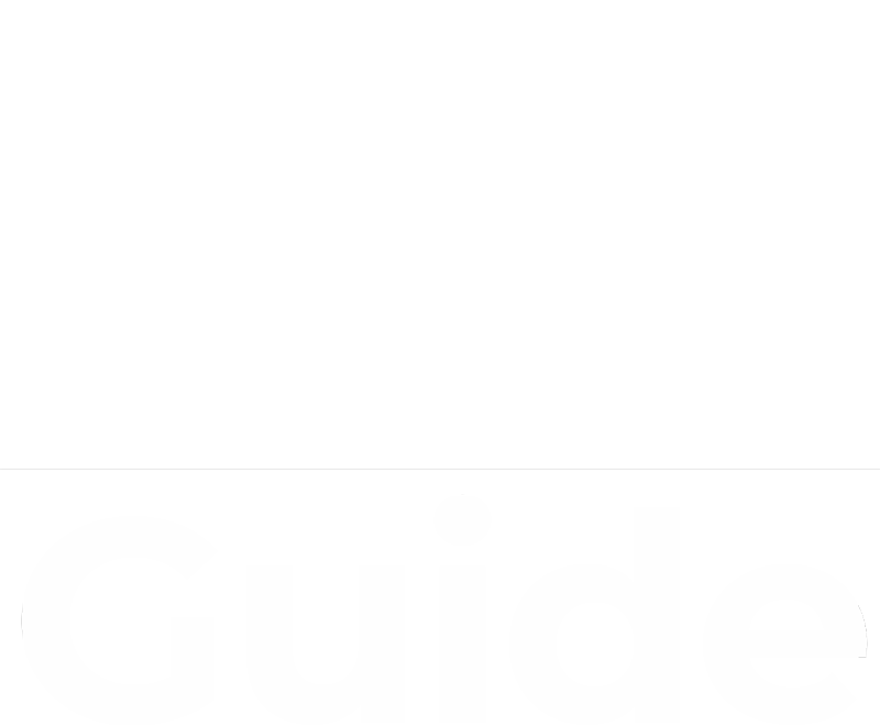 CEO Guide